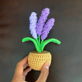 Handmade Crochet Lavender Pot