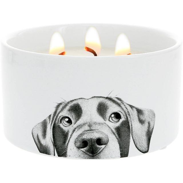 Doggy -  Soy Wax Reveal Triple Wick Candle