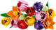 Lego Flowers and Plants