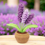 Crochet Lavender Pot