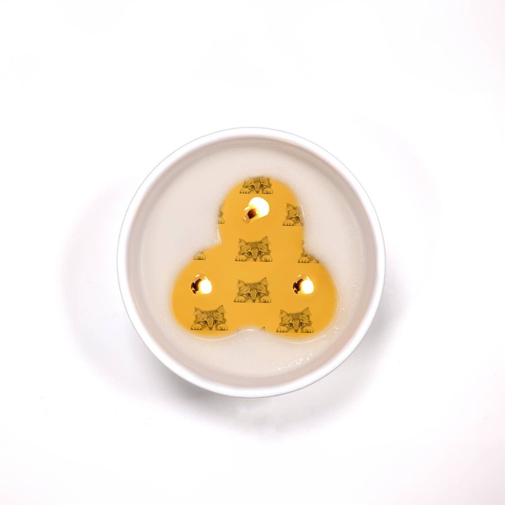Kitty Cat - Candle Reveal