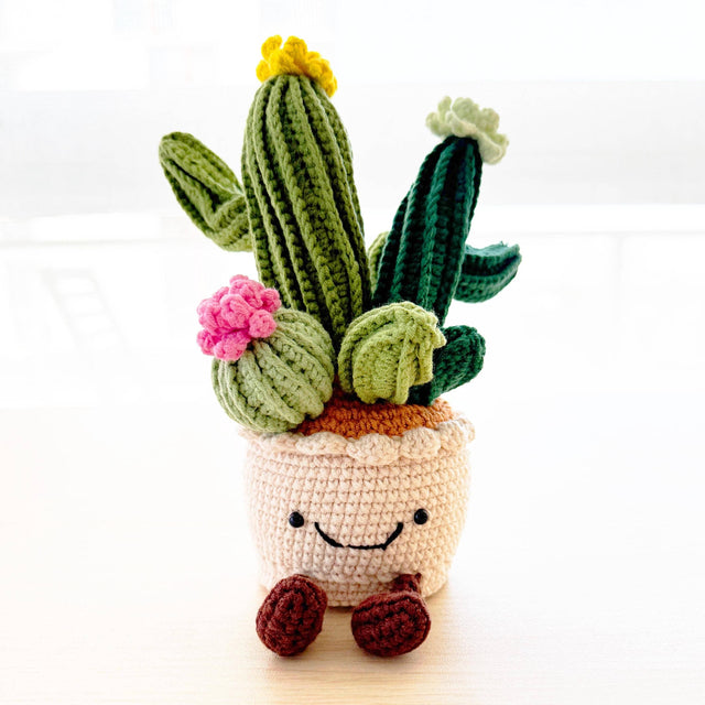 Crochet Cactus Smiley Pot