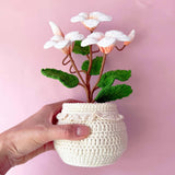 Handmade crochet plumeria plant