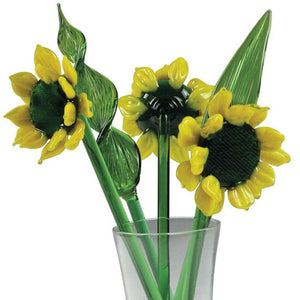 Glass Flowers