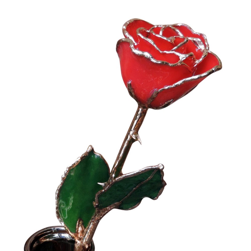 Gold Dipped Red Rose – Kremp Florist