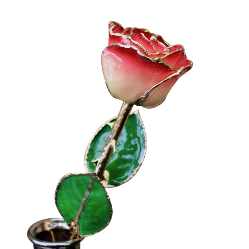Gold Dipped White Burgundy Rose – Kremp Florist