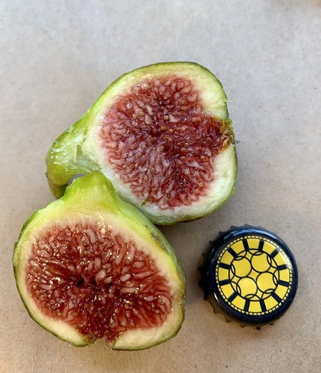 Harryâ€™s Crete Fig Fruit