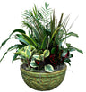 Dish Gardens