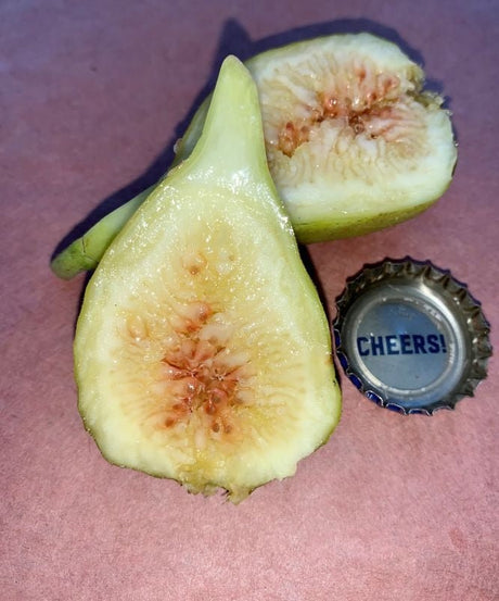 Robertâ€™s Golden Rainbow Fig Fruit Cross Section