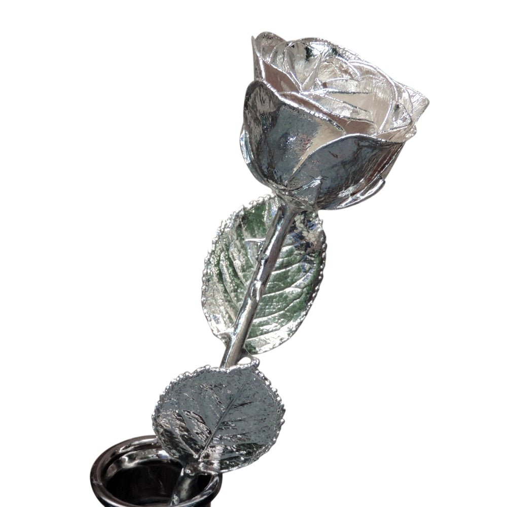 Silver Dipped Rose – Kremp Florist