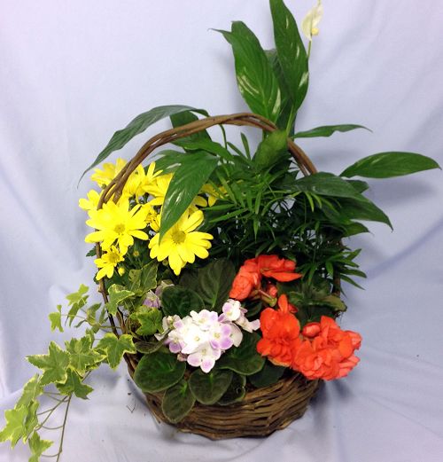 Blooming Foliage Basket