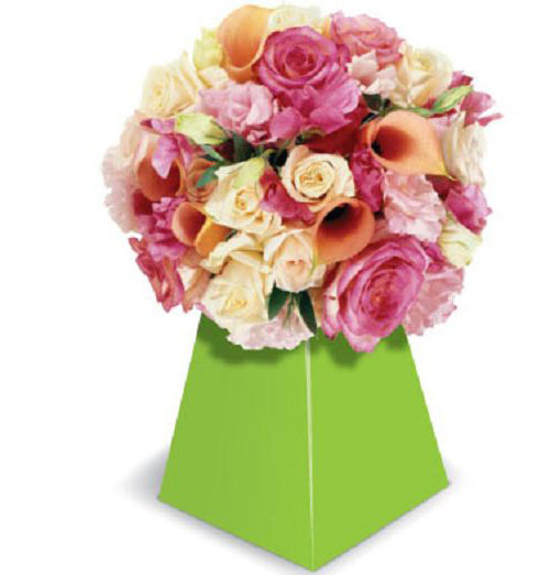 Blumebox Vase