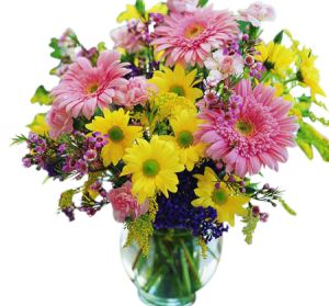Mixed Spring Daisy Vase
