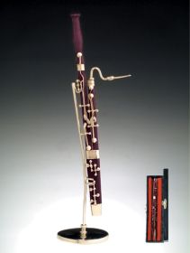 Bassoon with Case