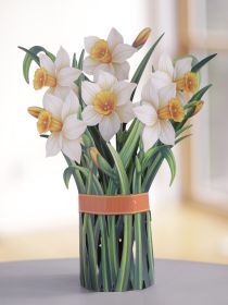 Daffodils 3D Pop-Up Card
