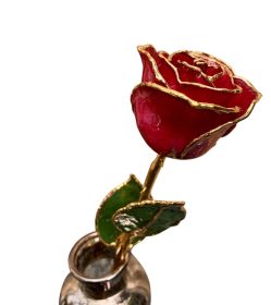 Gold Dipped Burgundy Rose