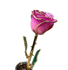 Gold Dipped Pink Picasso Rose