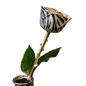 Gold Dipped Zebra Rose