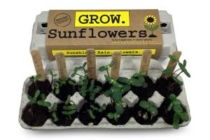 Mini Garden Growing Kit