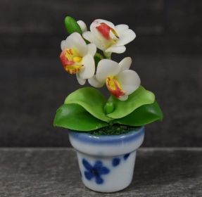 Handmade Mini Phalaenopsis Orchid in Pot