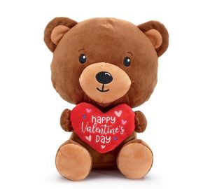 Happy Valentine's Day Teddy Bear