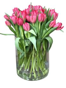 Premium Tulip Cylinder