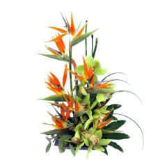 Paradise Blooms tropical flower arrangement with orchids and bird of paradise Large