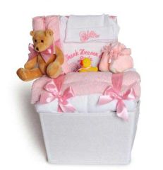 Bountiful Baby Girl Gift Basket