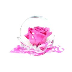 Enchanted Beauty Rose Globe- Dark Pink