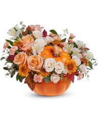 Hello Pumpkin Bouquet Premium