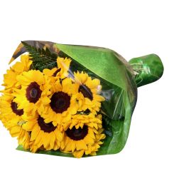Sunflower Special 