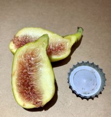 Popone Fig Fruit