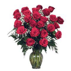 24 premium red roses arranged in a vase with filler and greens