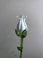 White Glass Rose