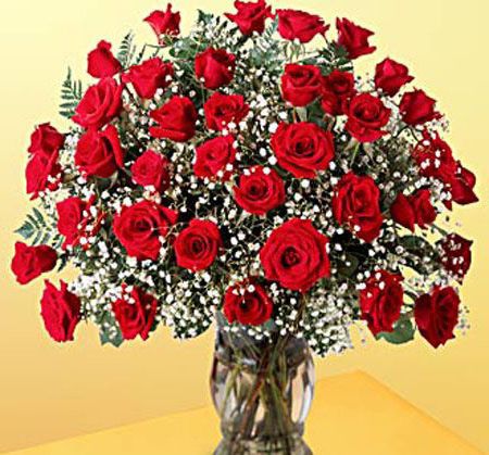 3 dozen roses arranged in a vase with babies breath