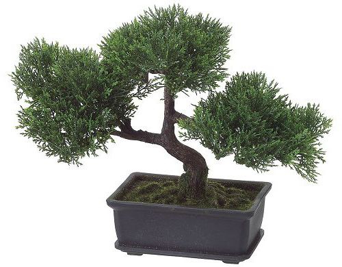 Artificial Cedar bonsai tree