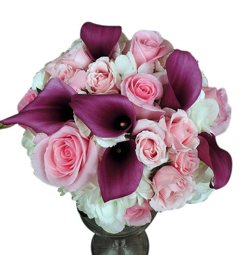 Eggplant colored calla lilies with pink roses and white hydrangea in a clutch bouquet