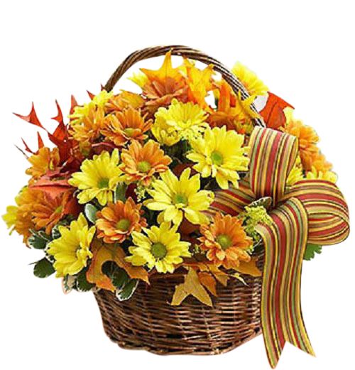 Fall Daisy Basket of yellow and bronze daisies Large