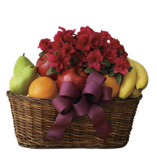 Fruits and blooms seasonal fruit in wicker basket with blooming plant and bow