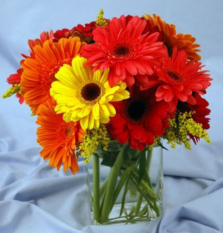 Glass vase of assorted color gerbera daisies