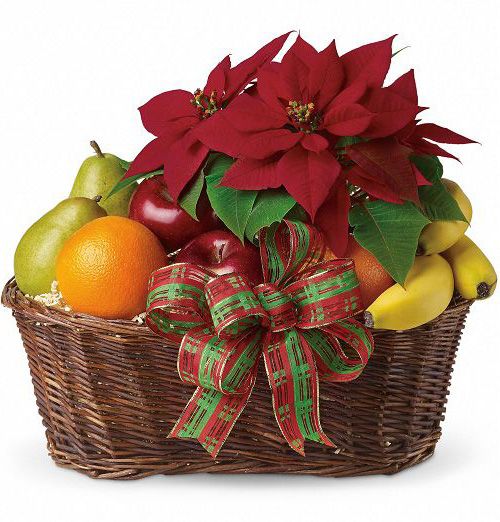 Assorted seasonal fresh fruit in wicker basket with bow and blooming poinsettia plant