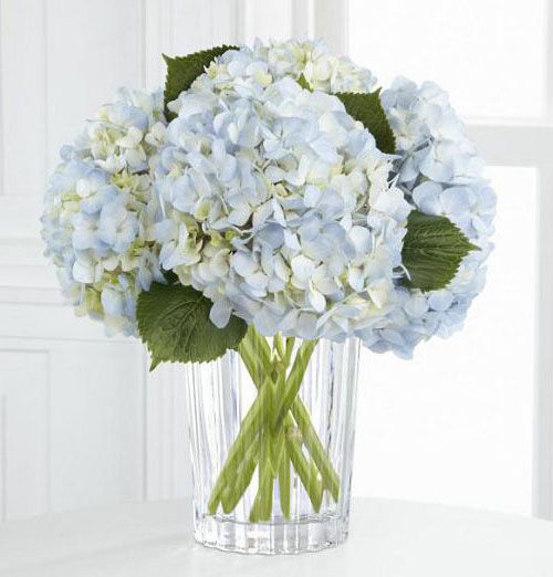 Joyful Inspiration Bouquet of blue hydrangea in Vera Wang Vase Small