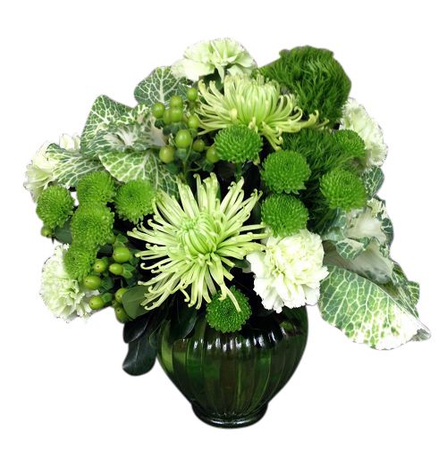 Luck of the Irish flower arrangement of all green flowers in green vase