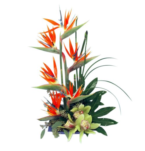Paradise Blooms tropical flower arrangement with orchids and bird of paradise Small