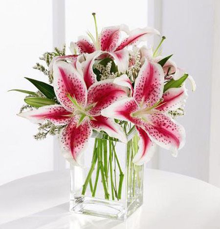 Pretty pink stargazer lilies in vase Small