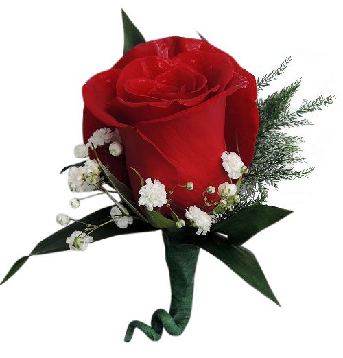 Real Touch Red Open Rose Boutonniere Life Like Artificial Flower Choose Ribbon 