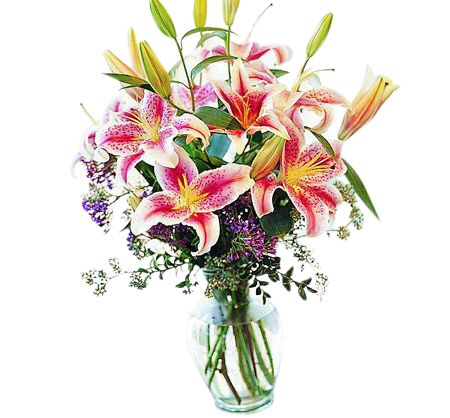 Stargazer lilies arranged in a vase
