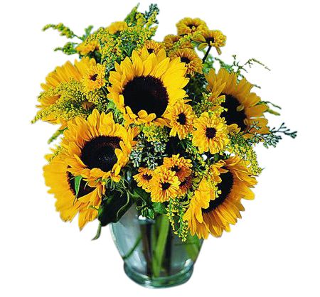 Sunflowers arranged in a vase