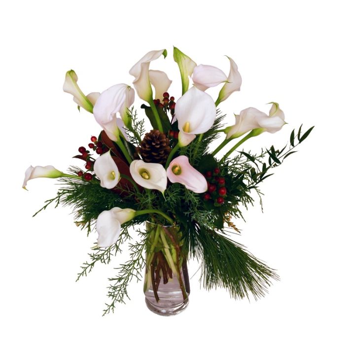 18 Christmas Calla lilies in cylinder case with pine cones and holiday accents