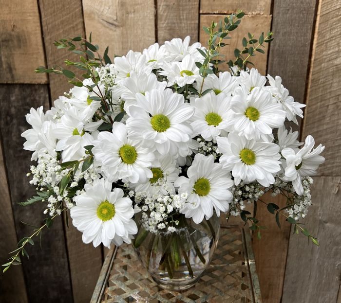 Bokay of white daisies in vase